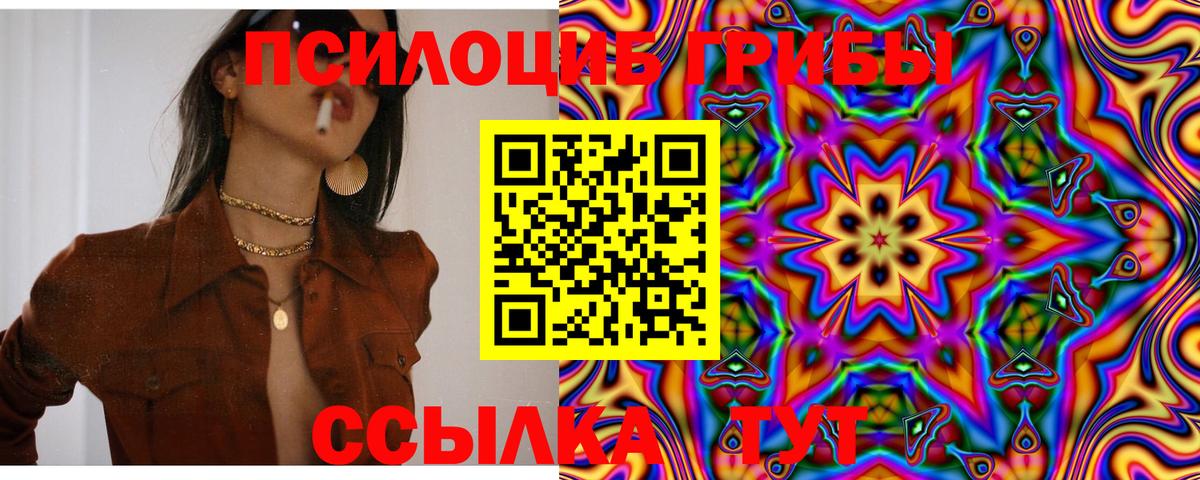 Дзержинский  Галлюциногенные грибы Psilocybine cubensis  Вход с VPN 